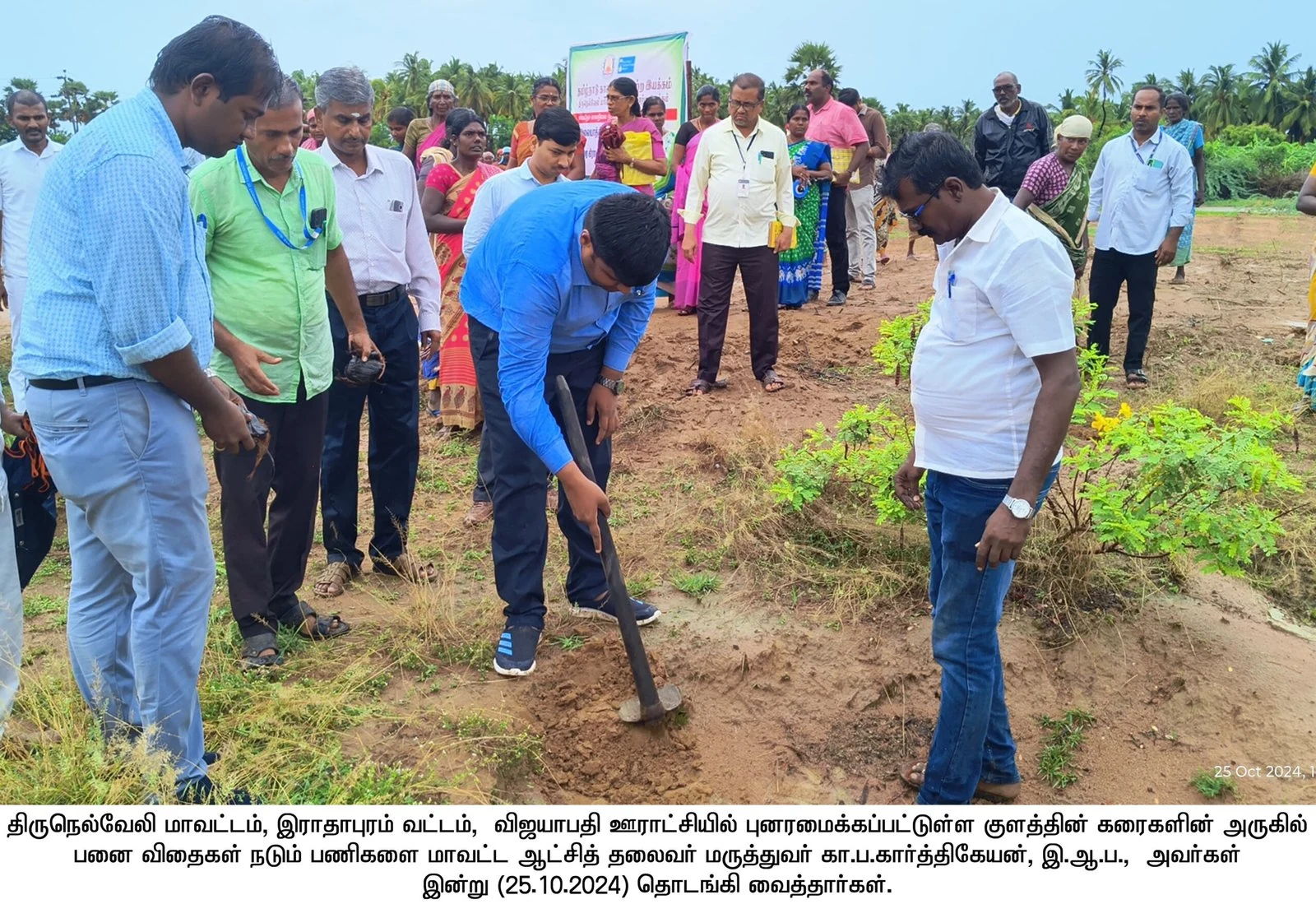 Mangrove Plant – Radhapuram Vijayapathi Collector News & Photos